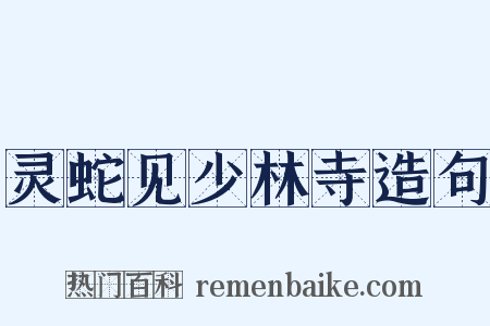 灵蛇见少林寺造句是什么意思的图片